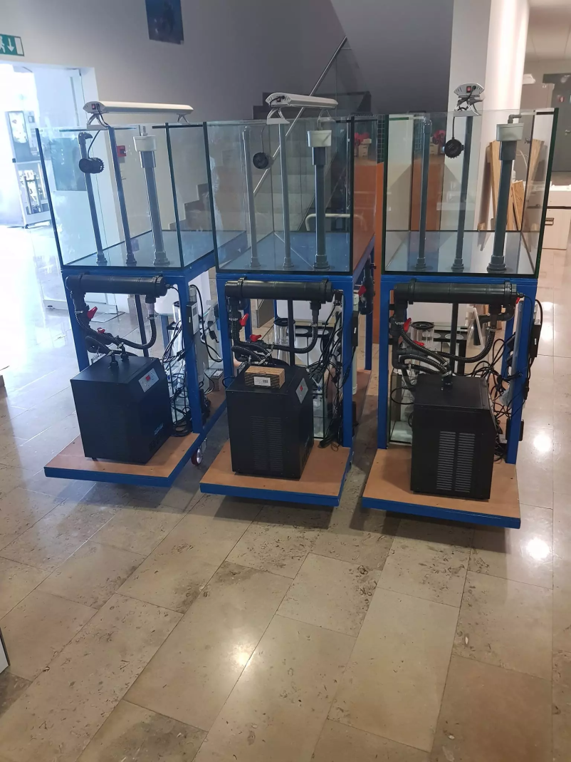 Trgovina za živali Lesce