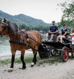 Kočijaž za rojstni dan Maribor