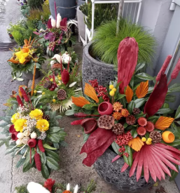 Prodaja balkonskega cvetja Ivančna Gorica