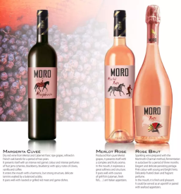 Degustacija vina goriska brda vina moro