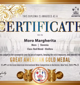 Degustacija vina goriska brda vina moro