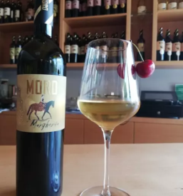 Degustacija vina goriska brda vina moro