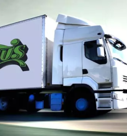 Konzervirano sveze sadje in zelenjava slovenija