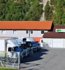 Konzervirano sveze sadje in zelenjava slovenija