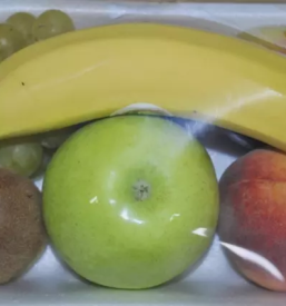 Konzervirano sveze sadje in zelenjava slovenija