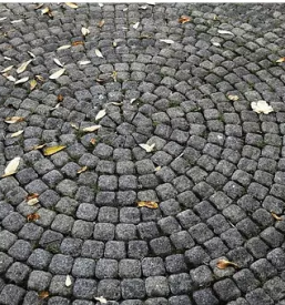 Kvalitetno polaganje tlakovcev celje