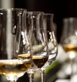 Kvalitetno vino iz goriskih brd