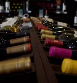 Kvalitetno vino iz goriskih brd