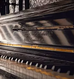 Production of quality organs in slovenia