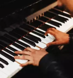 Production of quality organs in slovenia