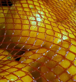 Strojegradnja za pakirnice sadja in zelenjave osrednja slovenija