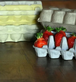 Strojegradnja za pakirnice sadja in zelenjave osrednja slovenija