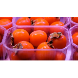 CESI, PROIZVODNJA IN TRGOVINA, D.O.O.