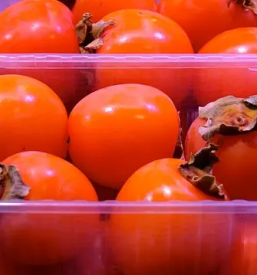 Strojegradnja za pakirnice sadja in zelenjave osrednja slovenija