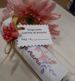 Knjigarna in papirnica bela krajina