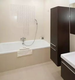 Kvalitetna adaptacija kopalnice stajerska