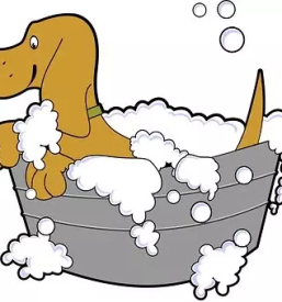 Nega psov in mačk Osrednja Slovenija