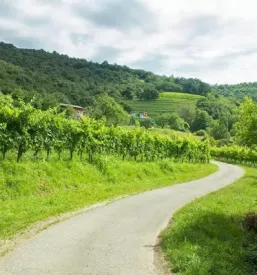 dobra kosila na turisticni kmetiji goriska brda