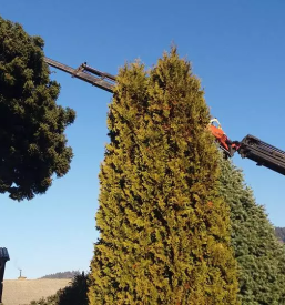 Urejanje okolice in suhomontazna dela koroska