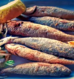 Priprava rib Piran