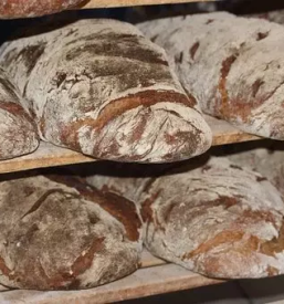 Domaci kruh iz krusne peci gorenjska