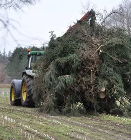 Kvalitetno spravilo in posek lesa slovenija