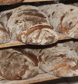 Peka domačega kruha Kamnik