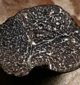 Prodaja tartufov obalno kraska