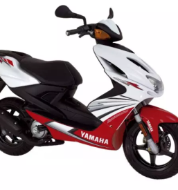 Najem in prodaja vozil primorska