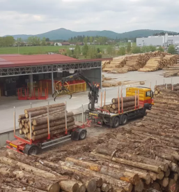 Posek in spravilo lesa kocevje