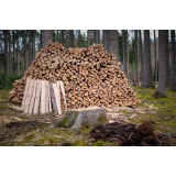 GOZDARSKE STORITVE SMOLE JANEZ S.P.