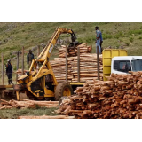 GOZDARSTVO TOMAŽ DERLINK S.P.