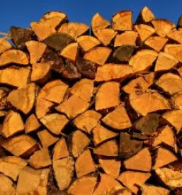 Proizvodnja in prodaja energentov pomurje