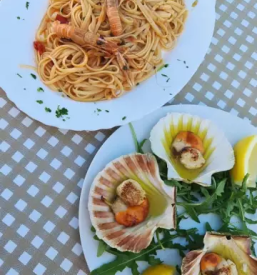 Morske jedi Obala - rezervacija