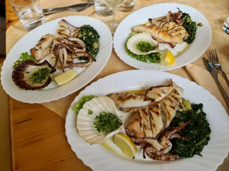 Ribje jedi Portorož, Obala