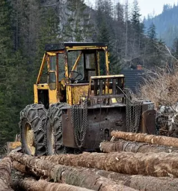 Secnja spravilo in prevozi lesa hlodovine osrednja slovenija