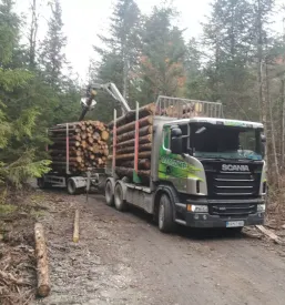 Transport lesa po Sloveniji