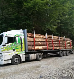 Mednarodni transport lesa po EU