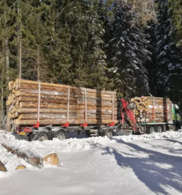 Ugoden transport lesa slovenija