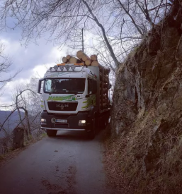 Ugoden transport lesa slovenija