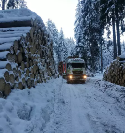 Ugoden transport lesa slovenija
