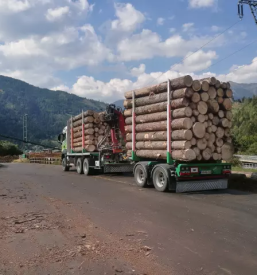 Ugoden transport lesa slovenija