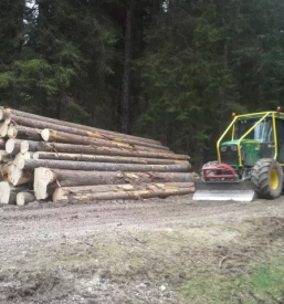 Ugodna secnja in spravilo lesa slovenija