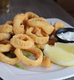 Morske jedi Portorož