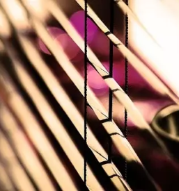 Komarniki in sencila obala