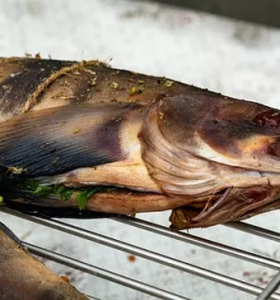 Malice Portorož cenik