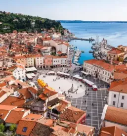 Quality apartment in piran