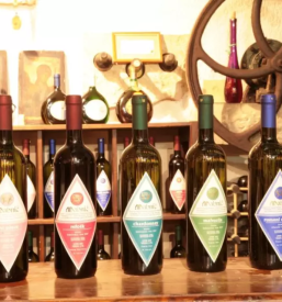 Ugodna kmecka gostilna secovlje obala