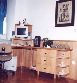 Izdelava pisarniškega pohištva po naročilu