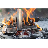 ANTON OBLAK - NOSILEC DOPOLNILNE DEJAVNOSTI NA KMETIJI